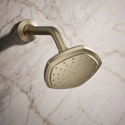 Single-function showerhead, 2.5 gpm^Kohler Online