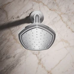 Single-function showerhead, 2.5 gpm^Kohler Online