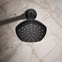 Single-function showerhead, 2.5 gpm^Kohler Online
