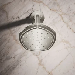 Single-function showerhead, 2.5 gpm^Kohler Online