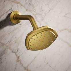Single-function showerhead, 2.5 gpm^Kohler Online