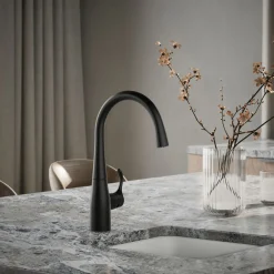 Single-handle bar sink faucet^Kohler Discount