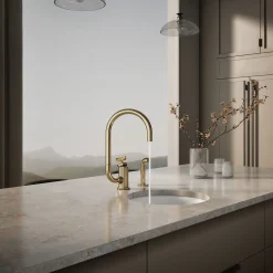 Single-handle bar sink faucet with two-function extended-reach spout and side sprayer^Kohler Outlet