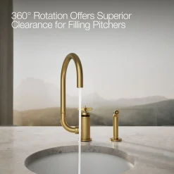 Single-handle bar sink faucet with two-function extended-reach spout and side sprayer^Kohler Outlet