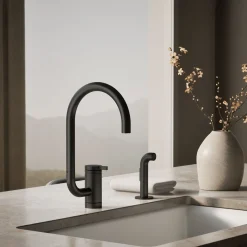 Single-handle kitchen sink faucet with two-function extended-reach spout and side sprayer^Kohler Discount