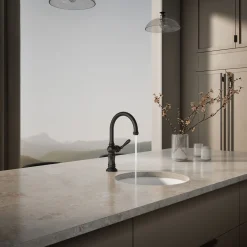 Single-handle kitchen sink faucet^Kohler
