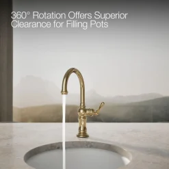 Single-handle kitchen sink faucet^Kohler