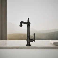Single-handle kitchen sink faucet^Kohler Discount