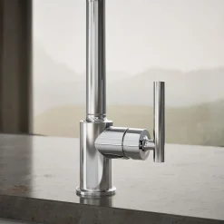 Single-handle kitchen sink faucet with side sprayer^Kohler Discount