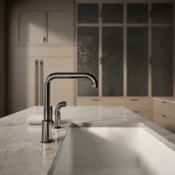 Single-handle kitchen sink faucet with side sprayer^Kohler Discount
