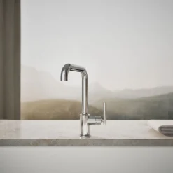 Single-handle kitchen sink faucet^Kohler Best