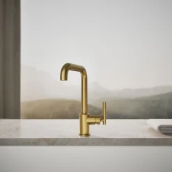 Single-handle kitchen sink faucet^Kohler Best