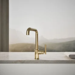 Single-handle kitchen sink faucet^Kohler Best