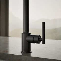 Single-handle kitchen sink faucet^Kohler Best