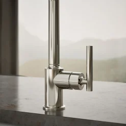 Single-handle kitchen sink faucet^Kohler Best