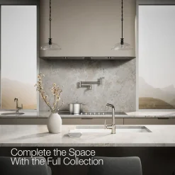 Single-handle kitchen sink faucet^Kohler Best