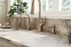 Soap/lotion dispenser^Kohler Hot