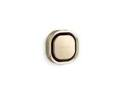 Square steam head^Kohler New
