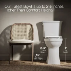 Tall two-piece elongated toilet with skirted trapway, 1.28 gpf^Kohler Hot