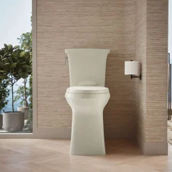 Tall two-piece elongated toilet with skirted trapway, 1.28 gpf^Kohler Hot