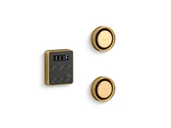 Tandem steam generator control kit^Kohler Best
