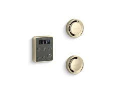 Tandem steam generator control kit^Kohler Best