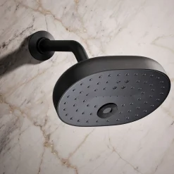 Three-function showerhead, 2.5 gpm^Kohler Best