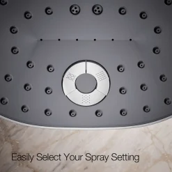 Three-function showerhead, 2.5 gpm^Kohler Best