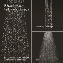 Three-function showerhead, 1.75 gpm^Kohler Outlet