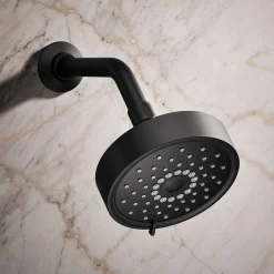 Three-function showerhead, 2.5 gpm^Kohler Discount