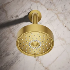 Three-function showerhead, 2.5 gpm^Kohler Discount