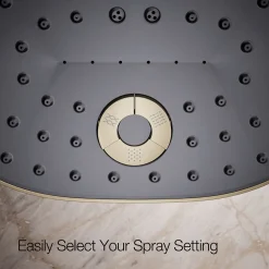 Three-function showerhead, 1.75 gpm^Kohler Online