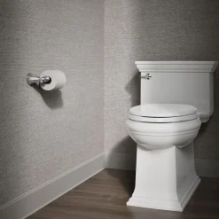 Toilet paper holder^Kohler Best