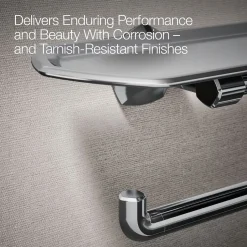 Toilet paper holder with tray^Kohler Discount