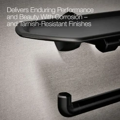 Toilet paper holder with tray^Kohler Discount