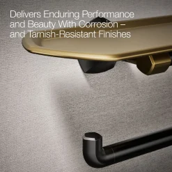 Toilet paper holder with tray^Kohler Discount