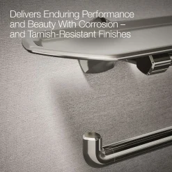 Toilet paper holder with tray^Kohler Discount