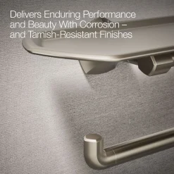 Toilet paper holder with tray^Kohler Discount
