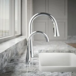 Transitional beverage faucet^Kohler Discount
