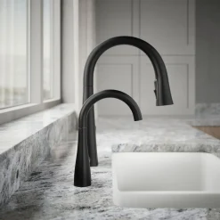 Transitional beverage faucet^Kohler Discount