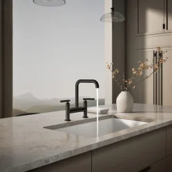 Two-hole bridge kitchen sink faucet^Kohler Discount