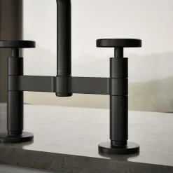 Two-hole bridge kitchen sink faucet with side sprayer^Kohler Best