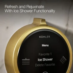 Two-outlet shower digital control^Kohler New