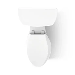 Two-piece elongated toilet, dual-flush^Kohler Discount