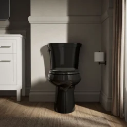 Two-piece elongated toilet, dual-flush^Kohler New