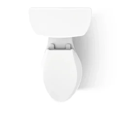 Two-piece elongated toilet, dual-flush^Kohler New