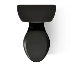 Two-piece elongated toilet, dual-flush^Kohler New