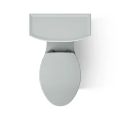 Two-piece elongated toilet, 1.28 gpf^Kohler Best