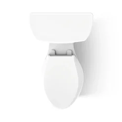 Two-piece elongated toilet, 1.0 gpf^Kohler