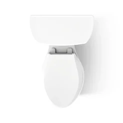 Two-piece elongated toilet, 1.6 gpf^Kohler Online